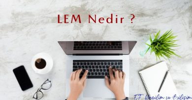 Logo Lem Nedir ?